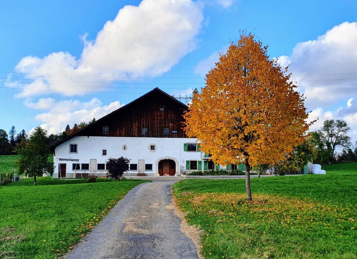 O Valanvron - Appartement Dans Une Ancienne Ferme Neuchateloise La Chaux De Fonds Exterior foto